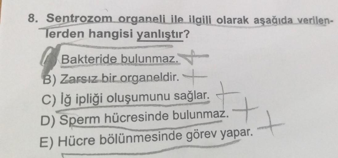 8. Sentrozom organeli ile ilgili olarak aşağıda verilen-
Terden hangisi yanlıştır?
14
Bakteride bulunmaz.
B) Zarsız bir organeldir. +
C) Iğ ipliği oluşumunu sağlar.
D) Sperm hücresinde bulunmaz.
E) Hücre bölünmesinde görev yapar.
+
+
