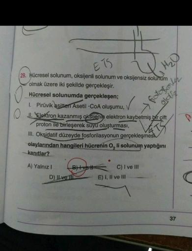 ETS
H₂O
29. Hücresel solunum, oksijenli solunum ve oksijensiz solunum
olmak üzere iki şekilde gerçekleşir.
Hücresel solunumda gerçekleşen;
1. Pirüvik asitten Asetil-CoA oluşumu,
O jl. Elektron kazanmış oksijenin elektron kaybetmiş bir çift
proton ile birle