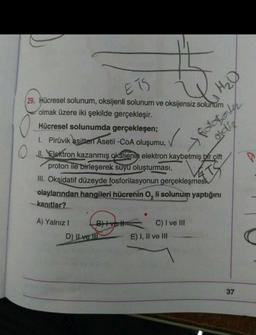 ETS
H₂O
29. Hücresel solunum, oksijenli solunum ve oksijensiz solunum
olmak üzere iki şekilde gerçekleşir.
Hücresel solunumda gerçekleşen;
1. Pirüvik asitten Asetil-CoA oluşumu,
O jl. Elektron kazanmış oksijenin elektron kaybetmiş bir çift
proton ile birleşerek suyu oluşturması,
III. Oksidatif düzeyde fosforilasyonun gerçekleşmesi
olaylarından hangileri hücrenin o, li solunum yaptığını
kanıtlar?
fotosoleh
oldiz
TS
A) Yalniz !
Blvet C) I ve III
D) ILVE IN E) I, II ve III
37