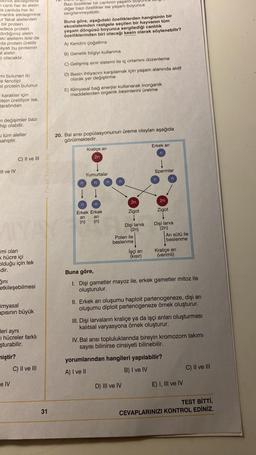 Skinlik etkileşimine
7 canli her iki alelin
La canlıda her iki
inantlik etkileşimine
ur fakat alellerden
bir protein
adece protein
dırdığımız alelin
aki alellerin ikisi de
da protein üretilir
ayat bu proteinin
al alelin
olacaktır.
Bazı özellikler bir canlının yaşamı bo
diğer bazı özellikler ise yaşam boyunca
sergilenmeyebilir.
Buna göre, aşağıdaki özelliklerden hangisinin bir
ekosistemden rastgele seçilen bir hayvanın tüm
yaşam döngüsü boyunca sergilediği canlılık
özelliklerinden biri olacağı kesin olarak söylenebilir?
A) Kendini çoğaltma
B) Genetik bilgiyi kullanma
C) Gelişmiş sinir sistemi ile iç ortamını düzenleme
mi bulunan iki
le fenotipi
el protein bulunur.
D) Besin ihtiyacını karşılamak için yaşam alanında aktif
olarak yer değiştirme
E) Kimyasal bağ enerjisi kullanarak inorganik
maddelerden organik besinlerini üretme
- karakter için
tein üretiliyor ise,
tarafından
in değişimler bazi
hip olabilir.
tüm aleller
sahiptir.
20. Bal arısı popülasyonunun üreme olayları aşağıda
görülmektedir.
Erkek ari
Kraliçe ari
n
2n
C) II ve III
Il ve IV
Paraf Yayinlari
Spermler
Yumurtalar
n
n
n
n
n
n
2n
2n
n
n
Zigot
Zigot
Erkek Erkek
ari ari
(n) (n)
Dişi larva
(2n)
Polen ile
beslenme
Dişi larva
(2n)
Ari sütü ile
beslenme
İşçi ari
(kisir)
Kraliçe ari
(verimli)
imi olan
<hücre içi
olduğu için tek
dir.
gini
etkileşebilmesi
Buna göre,
1. Dişi gametler mayoz ile, erkek gametler mitoz ile
oluşturulur.
imyasal
apısının büyük
II. Erkek arı oluşumu haploit partenogeneze, dişi arı
oluşumu diploit partenogeneze örnek oluşturur.
III. Dişi larvaların kraliçe ya da işçi arıları oluşturması
kalıtsal varyasyona örnek oluşturur.
leri ayni
Thücreler farklı
şturabilir.
niştir?
C) II ve III
IV. Bal arısı topluluklarında bireyin kromozom takımı
sayısı bilinirse cinsiyeti bilinebilir.
yorumlarından hangileri yapılabilir?
A) I ve II
B) I ve IV
C) Il ve III
e IV
D) III ve IV
E) I, III ve IV
31
TEST BİTTİ.
CEVAPLARINIZI KONTROL EDİNİZ.
