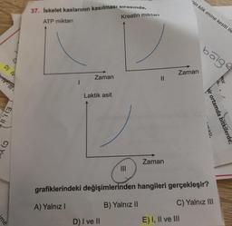 nin kök enine kesiti ile
37. Iskelet kaslarının kasılması sırasında,
ATP miktari
Kreatin miktarı
bölge
D) IV
Zaman
Zaman
.
eo/
Ill - All
Laktik asit
E),
Wir ortamda bitkilerde,
Linasi,
C)
Zaman
grafiklerindeki değişimlerinden hangileri gerçekleşir?
B) Yalnız II
C) Yalnız III
A) Yalnız
me
D) I ve II
E) I, II ve III