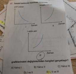 nin kök enine kesiti ile
37. Iskelet kaslarının kasılması sırasında,
ATP miktari
Kreatin miktarı
bölge
D) IV
Zaman
Zaman
.
eo/
Ill - All
Laktik asit
E),
Wir ortamda bitkilerde,
Linasi,
C)
Zaman
grafiklerindeki değişimlerinden hangileri gerçekleşir?
B) Yalnız II
C) Yalnız III
A) Yalnız
me
D) I ve II
E) I, II ve III
