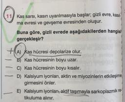 11 Kas sarsı, kasın uyarılmasıyla başlar; gizli evre, kasıl-
ma evresi ve gevşeme evresinden oluşur.
Buna göre, gizli evrede aşağıdakilerden hangisi
gerçekleşir?
HA) Kas hücresi depolarize olur.
B) Kas hücresinin boyu uzar.
C) Kas hücresinin boyu kısalır.
Visuomu
D) Kalsiyum iyonları, aktin ve miyozinlerin etkileşime
girmesini önler.
E) Kalsiyum iyonları, aktif taşımayla sarkoplazmik re-
tikuluma alınır.
