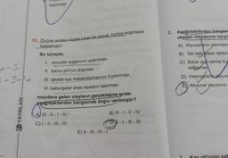 kasılması
2. Aşağıdakilerden hangisi
oksijen ihtiyacının karşıl
11. Önüne aniden köpek çıkan bir çocuk, hızlıca koşmaya
başlamıştır.
A) Alyuvarların çekirdeks
Bu süreçte;
B) Tek katlı yassi epiteld
C) Soluk als verme hız
değişmes
a-3
1-3-4
1. omurilik soğanının uyarılması,
II. kanin pH'nın düşmesi,
III. iskelet kas metabolizmasının hızlanması,
IV. kaburgalar arası kasların kasılması
D) Hemoglobiliaryuva
E) Akyuvar sayısının
meydana gelen olayların gerçekleşme sırası
aşağıdakilerden hangisinde doğru verilmiştir?
3D YAYINLARI
AJ III - l - 1 - IV
C) | - || - ||I - IV
B) III - | - || - IV
DI - I - III - IV
-
E) || - III - IV - 1
3
Kan pH'sinin salt
