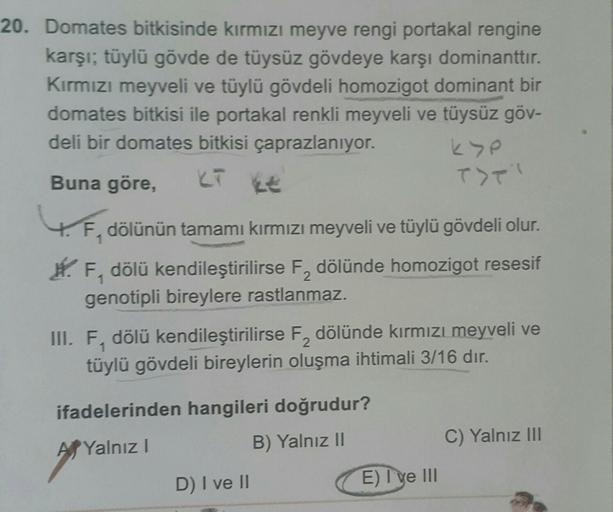 20. Domates bitkisinde kırmızı meyve rengi portakal rengine
karşı, tüylü gövde de tüysüz gövdeye karşı dominanttır.
Kırmızı meyveli ve tüylü gövdeli homozigot dominant bir
domates bitkisi ile portakal renkli meyveli ve tüysüz göv-
deli bir domates bitkisi