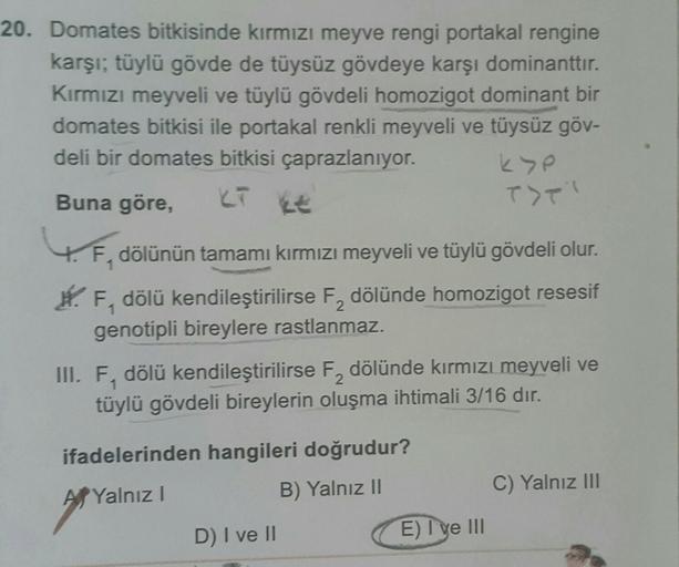 20. Domates bitkisinde kırmızı meyve rengi portakal rengine
karşı, tüylü gövde de tüysüz gövdeye karşı dominanttır.
Kırmızı meyveli ve tüylü gövdeli homozigot dominant bir
domates bitkisi ile portakal renkli meyveli ve tüysüz göv-
deli bir domates bitkisi 