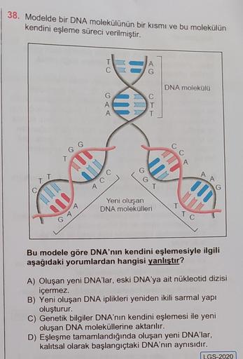 38. Modelde bir DNA molekülünün bir kısmı ve bu molekülün
kendini eşleme süreci verilmiştir.
A
G
XO
DNA moleküla
G
C
T
T
C
C
T
A
T
G
G
T
A
A
G
WD
ID
TID
MMM
Yeni oluşan
DNA molekülleri
IT
TC
Bu modele göre DNA'nın kendini eşlemesiyle ilgili
aşağıdaki yorum