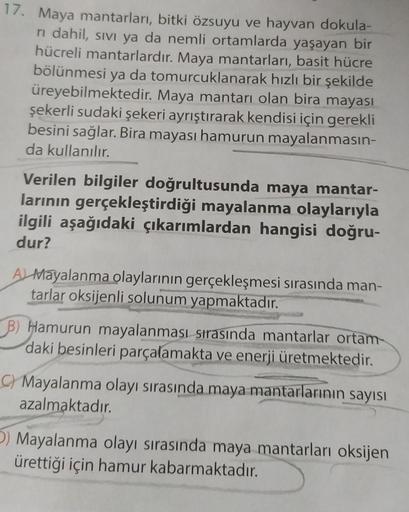 17. Maya mantarları, bitki özsuyu ve hayvan dokula-
ni dahil, sivi ya da nemli ortamlarda yaşayan bir
hücreli mantarlardır. Maya mantarları, basit hücre
bölünmesi ya da tomurcuklanarak hızlı bir şekilde
üreyebilmektedir. Maya mantarı olan bira mayası
şeker