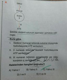 4.
.
Glikoz
Pirüvat
Krebs
II
ETS
Şekilde oksijenli solunum aşamaları şematize edil-
miştir.
Buna göre,
1. Sadece 1 numaralı bölümde substrat düzeyinde
fosforilasyonla ATP sentezlenir.
II. II numaralı bölümde oksidatif fosforilasyonla
ATP sentezlenir.
III. III numaralı bölümün gercekleştiği yer mito-
kondrinin iç zarında yer alır. Krista
ifadelerinden hangileri doğrudur?
A) Yalnız!
B) Yalnız II
C) Yalnız III
D) I ve II
E) II ve III