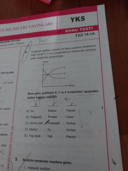 YKS
EN BİLİMLERİ YAYINLARI
KONU TESTÍ
F22/ 14-1A
Besir
SINDIRIM SISTEMI
Insanda Sindirim Sistemi)
Aşağıdaki grafikte, insanda bir besin çeşidinin sindirimine
bağlı olarak X, Y ve Z moleküllerinin miktarında meydana
gelen değişimler gösterilmiştir.
Miktar
hem de kim-
Z
Y
C) I ve III
Zaman
II
Buna göre, grafikteki X, Y ve Z molekülleri, aşağıdaki-
lerden hangisi olabilir?
Z
ini uyaran
A) Su
Maltoz
Pepsin
B) Polipeptit
Protein
Lipaz
C) Amino asit Polipeptit
na veril-
Amilaz
Maltoz
Su
Amilaz
ketlerle
E) Yağ asidi
Yağ
Pepsin
ince
EEN BİLİMLERİ YAYINLARI
Sindirim kanalında meydana gelen,
IV
I. mekanik sindirim