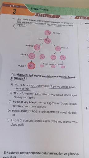 TEST
Üreme Sistemi
3
DOĞRU SAYISI
5.
YANLIS
Dişi üreme sisteminde oogenez ile yumurta oluşması sü-
recinde görülen hücrelerden beş tanesi şekilde gösteril-
7. Mer
miştir.
1.
725 Oogonium
II.
Hücre 1
111
Hücre 2
X X
IV
x x Hücre 3
Hücre 4
22
5
2)
1
Ikincil