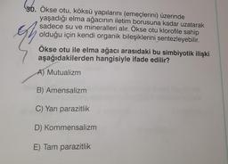 ()
30. Ökse otu, köksü yapılarını (emeçlerini) üzerinde
yaşadığı elma ağacının iletim borusuna kadar uzatarak
sadece su ve mineralleri alır. Ökse otu klorofile sahip
olduğu için kendi organik bileşiklerini sentezleyebilir.
Ökse otu ile elma ağacı arasıdaki bu simbiyotik ilişki
aşağıdakilerden hangisiyle ifade edilir?
A) Mutualizm
B) Amensalizm
C) Yarı parazitlik
D) Kommensalizm
E) Tam parazitlik
