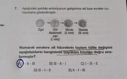 7.
Aşağıdaki şekilde embriyonun gelişimine ait bazı evreler nu-
maralarla gösterilmiştir.
ne-
Zigot
Dört Morula Blastula
blastomerli (ll. evre) (Ill. evre)
yapi
(1. evre)
Numaralı evrelere ait hücrelerin toplam kütle değişimi
aşağıdakilerin hangisinde büyükten küçüğe doğru sıra-
lanmıştır?
A)) - 11 - MH
III B) in -li-
D) III - 1 - 1
C) - H-
E) 1 - 1 - III
