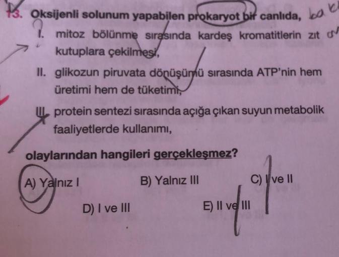 13. Oksijenli solunum yapabilen prokaryot bit canlıda, bob
1. mitoz bölünme sırasında kardeş kromatitlerin zit o
kutuplara çekilmesi,
II. glikozun piruvata dönüşümü sırasında ATP'nin hem
üretimi hem de tüketimi,
protein sentezi sırasında açığa çıkan suyun 