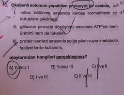 13. Oksijenli solunum yapabilen prokaryot bit canlıda, bob
1. mitoz bölünme sırasında kardeş kromatitlerin zit o
kutuplara çekilmesi,
II. glikozun piruvata dönüşümü sırasında ATP'nin hem
üretimi hem de tüketimi,
protein sentezi sırasında açığa çıkan suyun metabolik
faaliyetlerde kullanımı,
olaylarından hangileri gerçekleşmez?
A) Yalnız!
B) Yalnız III
Labai
C) ve II
D) I ve III
E) II ve III