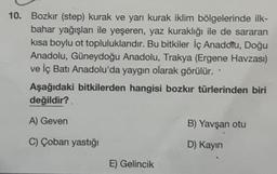 10. Bozkır (step) kurak ve yarı kurak iklim bölgelerinde ilk-
bahar yağışları ile yeşeren, yaz kuraklığı ile de sararan
kısa boylu ot topluluklarıdır. Bu bitkiler İç Anadolu, Doğu
Anadolu, Güneydoğu Anadolu, Trakya (Ergene Havzası)
ve İç Batı Anadolu'da yaygın olarak görülür.
Aşağıdaki bitkilerden hangisi bozkır türlerinden biri
değildir?
A) Geven
B) Yavşan otu
C) Çoban yastığı
D) Kayin
E) Gelincik
