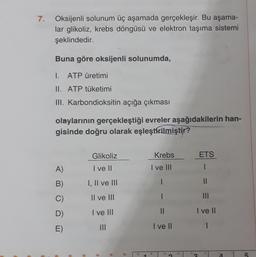 7. Oksijenli solunum üç aşamada gerçekleşir. Bu aşama-
lar glikoliz, krebs döngüsü ve elektron taşıma sistemi
şeklindedir.
Buna göre oksijenli solunumda,
I. ATP üretimi
II. ATP tüketimi
III. Karbondioksitin açığa çıkması
olaylarının gerçekleştiği evreler aşağıdakilerin han-
gisinde doğru olarak eşleştirilmiştir?
Glikoliz
Krebs
ETS
A)
I ve II
I ve III
1
B)
I, II ve III
II
C)
II ve III
D)
I ve III
11
I ve II
E
E)
III
I ve II
I
4
5