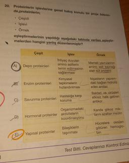 20. Proteinlerin işlevlerine genel bakış konulu bir proje ödevin-
de proteinlerin;
Çeşidi
İşlevi
Örnek
eşleştirmelerinin yapıldığı aşağıdaki tabloda verilen eşleştir-
melerden hangisi yanlış düzenlenmiştir?
Çeşit
Örnek
İşlev
ihtiyaç duyulan
amino asitlerin
temin edilmesinin
sağlanması
A)
Depo proteinleri
Memeli yavrularının
amino asit kaynağı
olan süt proteini
BY Enzim proteinleri
Kimyasal
tepkimelerin
hızlandırılması
Nişastanın yapısın-
daki bağları hidroliz
eden amilaz
Bakteri ve virüsleri
etkisiz hale getiren
antikor
C)
Hastalığa karşı
koruma
Savunma proteinleri
Organizmadaki
Hormonal proteinler aktivitelerin
koordinasyonu
Kanda glikoz mik-
tarını azaltan insülin
D)
Bileşiklerin
taşınmasi
Hücrelere oksijen
götüren hemoglo-
bin
E
Yapısal proteinler
Test Bitti. Cevaplarınızı Kontrol Ediniz