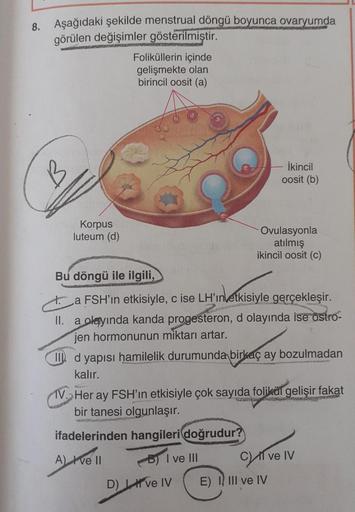 8.
BERGEN
Aşağıdaki şekilde menstrual döngü boyunca ovaryumda
görülen değişimler gösterilmiştir.
Foliküllerin içinde
gelişmekte olan
birincil oosit (a)
B
İkincil
oosit (b)
Korpus
luteum (d)
Ovulasyonla
atılmış
ikincil oosit (c)
Bu döngü ile ilgili,
t. a FS