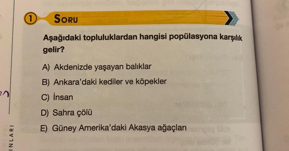 1
SORU
Aşağıdaki topluluklardan hangisi popülasyona karşılık
gelir?
A) Akdenizde yaşayan balıklar
B) Ankara'daki kediler ve köpekler
27
C) İnsan
D) Sahra çölü
E) Güney Amerika'daki Akasya ağaçları
INLARI
