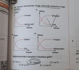 TEST-15
Bir hayvan hücresinde Golgi cisimciği faaliyetine bağlı
II.
Miktar
sentezlenme
olarak,
L
Miktar
Protein
Glikolipit
-Amino asit
-Kipit
Zaman
Zaman
IV.
III.
Miktar
Miktar
ve IV
Glikoz
Protein
4.
-CO2
-Glikoprotein
Zaman
Zaman
Yul
gisi
"0
değişimlerinden hangileri meydana gelir?
A)
DO
TER
A) Yalnız! B) Yalnız ID
C) I ve III
D) III ve IV
E) I, II ve IV
F
