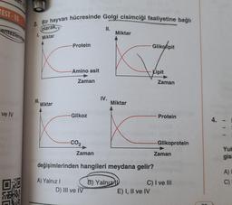 TEST-15
Bir hayvan hücresinde Golgi cisimciği faaliyetine bağlı
II.
Miktar
sentezlenme
olarak,
L
Miktar
Protein
Glikolipit
-Amino asit
-Kipit
Zaman
Zaman
IV.
III.
Miktar
Miktar
ve IV
Glikoz
Protein
4.
-CO2
-Glikoprotein
Zaman
Zaman
Yul
gisi
"0
değişimlerinden hangileri meydana gelir?
A)
DO
TER
A) Yalnız! B) Yalnız ID
C) I ve III
D) III ve IV
E) I, II ve IV
F
