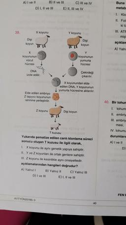 Buna
A) I ve 11 B) II ve III C) III ve IV
D) I, II ve III E) II, III ve IV
metab
1. Klo
II. Fot
ki ti
38.
X koyunu
Y koyunu
III. ATA
mişi
açıklar
Dişi
koyun
Dişi
koyun
A) Yalni
X
koyununun
vücut
hücresi
Y
koyununun
yumurta
hücresi
DNA
izole edilir.
Çekirdeği
çıkarılır.
X koyunundan elde
edilen DNA, Y koyununun
yumurta hücresine aktarılır.
Elde edilen embriyo
Z taşıyıcı koyununun
rahmine yerleştirilir.
40. Bir tohun
1. tohum
Z koyunu
Dişi koyun
II. embriy
III. embriy
mesi,
IV. tohumu
durumları
A) I ve II
D)
T kuzusu
Yukarıda şematize edilen canli klonlama süreci
sonucu oluşan T kuzusu ile ilgili olarak,
1. X koyunu ile aynı genetik yapıya sahiptir.
II. Y ve Z koyunları ile ortak genlere sahiptir.
III. Z koyunu ile kesinlikle aynı cinsiyettedir.
açıklamalarından hangileri doğrudur?
A) Yalniz ! B) Yalnız II C) Yalnız III
D) I ve III E) I, II ve III
FENE
AYTYÖN20195-3
40