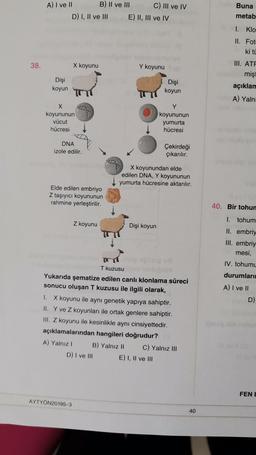 Buna
A) I ve 11 B) II ve III C) III ve IV
D) I, II ve III E) II, III ve IV
metab
1. Klo
II. Fot
ki ti
38.
X koyunu
Y koyunu
III. ATA
mişi
açıklar
Dişi
koyun
Dişi
koyun
A) Yalni
X
koyununun
vücut
hücresi
Y
koyununun
yumurta
hücresi
DNA
izole edilir.
Çekirdeği
çıkarılır.
X koyunundan elde
edilen DNA, Y koyununun
yumurta hücresine aktarılır.
Elde edilen embriyo
Z taşıyıcı koyununun
rahmine yerleştirilir.
40. Bir tohun
1. tohum
Z koyunu
Dişi koyun
II. embriy
III. embriy
mesi,
IV. tohumu
durumları
A) I ve II
D)
T kuzusu
Yukarıda şematize edilen canli klonlama süreci
sonucu oluşan T kuzusu ile ilgili olarak,
1. X koyunu ile aynı genetik yapıya sahiptir.
II. Y ve Z koyunları ile ortak genlere sahiptir.
III. Z koyunu ile kesinlikle aynı cinsiyettedir.
açıklamalarından hangileri doğrudur?
A) Yalniz ! B) Yalnız II C) Yalnız III
D) I ve III E) I, II ve III
FENE
AYTYÖN20195-3
40
