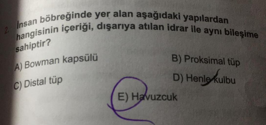 2 Insan böbreğinde yer alan aşağıdaki yapılardan
hangisinin içeriği, dışarıya atılan idrar ile aynı bileşime
sahiptir?
A) Bowman kapsülü
C) Distal tüp
B) Proksimal tüp
D) Henle kulbu
)
E) Havuzcuk
kulbu