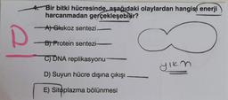 4. Bir bitki hücresinde, aşağıdaki olaylardan hangisi enerji
harcanmadan gerçekleşebilir?
-A) Glukoz sentezi
B) Protein sentezi
C) DNA replikasyonu
ylko
D) Suyun hücre dışına çıkışı
E) Sitoplazma bölünmesi
