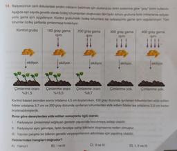 14. Radyasyonun canlı dokulardaki emilim miktarını belirtmek için uluslararası birim sistemine göre "gray" birimi kullanılır.
Aşağıda eşit sayıda genetik olarak özdeş tohumlardan oluşturulan dört farklı tohum grubuna farklı miktarlarda radyas-
yonlu gama ışını uygulanıyor. Kontrol grubundaki özdeş tohumlara ise radyasyonlu gama ışını uygulanmiyor. Tüm
tohumlar özdeş şartlarda çimlenmeye bırakılıyor.
Kontrol grubu
100 gray gama
200 gray gama
300 gray gama
IŞINI
işini
400 gray gama
işini
işini
ekiliyor.
ekiliyor.
ekiliyor.
ekiliyor.
ekiliyor.
Çimlenme orani
%31,5
Çimlenme orani
%15,5
Çimlenme orani
%9,7
Çimlenme yok.
Çimlenme yok.
Kontrol fideleri ekimden sonra ortalama 4,5 cm boylanırken, 100 gray dozunda işinlanan tohumlardan elde edilen
fideler ortalama 3,7 cm ve 200 gray dozunda ışınlanan tohumlardan elde edilen fideler ise ortalama 2.9 cm kadar
boylanabilmişlerdir.
Buna göre deneylerden elde edilen sonuçlarla ilgili olarak;
1. Radyasyon çimlenmeyi sağlayan genlerin yapısında bozulmaya sebep olabilir.
II. Radyasyon aynı genotipe, farklı fenotipe sahip bitkilerin oluşmasına neden olmuştur.
III. Yapılan çalışma bir bitkinin genetik varyasyonlarının artırılması için yapılmış olabilir.
ifadelerinden hangileri doğrudur?
A) Yalnız !
B) I ve III
C) II ve III
D) IIl ve III