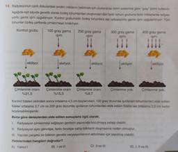 14. Radyasyonun canlı dokulardaki emilim miktarını belirtmek için uluslararası birim sistemine göre "gray" birimi kullanılır.
Aşağıda eşit sayıda genetik olarak özdeş tohumlardan oluşturulan dört farklı tohum grubuna farklı miktarlarda radyas-
yonlu gama ışını uygulanıyor. Kontrol grubundaki özdeş tohumlara ise radyasyonlu gama ışını uygulanmiyor. Tüm
tohumlar özdeş şartlarda çimlenmeye bırakılıyor.
Kontrol grubu
100 gray gama
200 gray gama
300 gray gama
IŞINI
işini
400 gray gama
işini
işini
ekiliyor.
ekiliyor.
ekiliyor.
ekiliyor.
ekiliyor.
Çimlenme orani
%31,5
Çimlenme orani
%15,5
Çimlenme orani
%9,7
Çimlenme yok.
Çimlenme yok.
Kontrol fideleri ekimden sonra ortalama 4,5 cm boylanırken, 100 gray dozunda işinlanan tohumlardan elde edilen
fideler ortalama 3,7 cm ve 200 gray dozunda ışınlanan tohumlardan elde edilen fideler ise ortalama 2.9 cm kadar
boylanabilmişlerdir.
Buna göre deneylerden elde edilen sonuçlarla ilgili olarak;
1. Radyasyon çimlenmeyi sağlayan genlerin yapısında bozulmaya sebep olabilir.
II. Radyasyon aynı genotipe, farklı fenotipe sahip bitkilerin oluşmasına neden olmuştur.
III. Yapılan çalışma bir bitkinin genetik varyasyonlarının artırılması için yapılmış olabilir.
ifadelerinden hangileri doğrudur?
A) Yalnız !
B) I ve III
C) II ve III
D) IIl ve III
