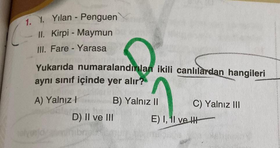 1. Y. Yilan - Penguen
II. Kirpi - Maymun
III. Fare - Yarasa
Yukarıda numaralandırılan ikili canlılardan hangileri
aynı sinif içinde yer alır?
A) Yalnız! B) Yalnız II
C) Yalnız III
D) II ve III
E) I, II ve II