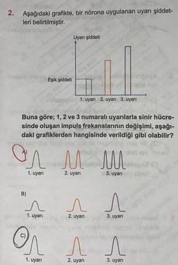 2.
Aşağıdaki grafikte, bir nörona uygulanan uyarı şiddet-
leri belirtilmiştir.
Uyarı şiddeti
er
of
Eşik şiddeti
1. uyarı 2. uyarı 3. uyarı
-
Buna göre; 1, 2 ve 3 numaralı uyarılarla sinir hücre-
sinde oluşan impuls frekanslarının değişimi, aşağı-
daki grafiklerden hangisinde verildiği gibi olabilir?
arbs niger
So
Son LUL
Llogy
2. uyari
3. uyarısts
on M M
M
1. uyari
B)
n
1. uyarılap 2. uyarı
n n
n
1
3. uyarı
C)
A
A
1. uyari
2. uyarı
3. uyarı
