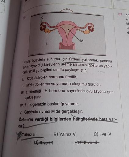 37. Kc
36.
K
ar
bi
le
d
M
Proje Ödevinin sunumu için Özlem yukarıdaki panoyu
hazırlayıp dişi bireylerin üreme sistemini gösteren yapı-
larla ilgili şu bilgileri sinifla paylaşmıştır.
1. K'de östrojen hormonu üretilir.
II. M'de döllenme ve yumurta oluşumu g