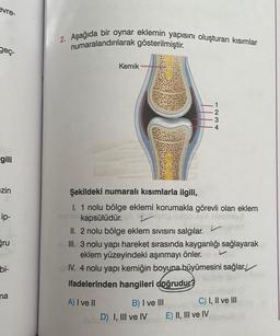 evre
2. Aşağıda bir oynar eklemin yapısını oluşturan kısımlar
numaralandırılarak gösterilmiştir
.
geç.
Kemik
2
3
4
gili
zin
ip-
Gru
Şekildeki numaralı kısımlarla ilgili,
I. 1 nolu bölge eklemi korumakla görevli olan eklem
nab kapsülüdür.
II. 2 nolu bölge eklem sivisini salgılar.
III. 3 nolu yapı hareket sırasında kayganlığı sağlayarak
eklem yüzeyindeki aşınmayı önler.
IV. 4 nolu yapı kemiğin boyuna büyümesini sağlar. /
ifadelerinden hangileri doğrudur?
A) I ve II
B) I ve III C) I, II ve III
Teve
D) I, III ve IVE) !!
E) II, III ve IV
bi-
na