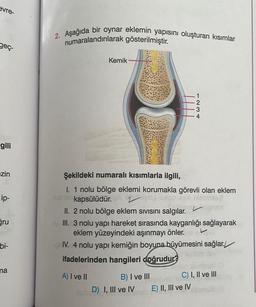 evre
2. Aşağıda bir oynar eklemin yapısını oluşturan kısımlar
numaralandırılarak gösterilmiştir
.
geç.
Kemik
2
3
4
gili
zin
ip-
Gru
Şekildeki numaralı kısımlarla ilgili,
I. 1 nolu bölge eklemi korumakla görevli olan eklem
nab kapsülüdür.
II. 2 nolu bölge eklem sivisini salgılar.
III. 3 nolu yapı hareket sırasında kayganlığı sağlayarak
eklem yüzeyindeki aşınmayı önler.
IV. 4 nolu yapı kemiğin boyuna büyümesini sağlar. /
ifadelerinden hangileri doğrudur?
A) I ve II
B) I ve III C) I, II ve III
Teve
D) I, III ve IVE) !!
E) II, III ve IV
bi-
na
