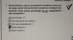 Sister
9
7. Karbonhidrat, yağ ve proteinlerin sindirimi sonucun-
da açığa çıkan monomerlerin tamamının dolaşım sis-
teminde ortak olarak görüldüğü ilk yer aşağıdakiler-
den hangisidir?
A Lenf kılcali
8) Sol köprücük altı topları
Üst ana toplardamar
Sağ kulakçık
E) Kapı topları,
$