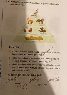 20. Karasal bir ekosistemde canlıların oluşturduğu besin pira-
midi verilmiştir.
Kurt
14
Tilki
Çakal
Tavşan
Köstebek
A
Patates
Buna göre,
I. Ortama bırakılan zehirli maddelerin dokularda en faz-
la oranda birikimi kurtta gerçekleşir.
II. Tilki miktarında azalmaya neden olan bir salgın hasta-
lik çakal sayısının artmasına neden ollur
III. Besin zincirinin ikinci trofik düzeyine aktarılan enerji
miktarı birinci trofik düzeyde yer alan patatese aktarı-
landan daha fazladır.
YAYINL
ifadelerinden hangileri doğrudur?
A) Yalnız!
B) Yalnız II
C) Yalnız III
D) I ve N
E) I, II ve III