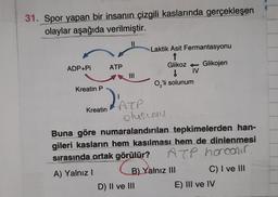 31. Spor yapan bir insanın çizgili kaslarında gerçekleşen
olaylar aşağıda verilmiştir.
II
Laktik Asit Fermantasyonu
ADP+Pi
ATP
III
Glikoz + Glikojen
IV
0,"li solunum
Kreatin P
Kreatin
ATP
olusunu
Buna göre numaralandırılan tepkimelerden han-
gileri kasların hem kasılması hem de dinlenmesi
sırasında ortak görülür? ATP harcoir.
A) Yalnız!
B) Yalnız III C) I ve III
D) II ve III
E) III ve IV
