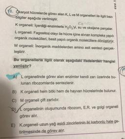 www.n
(8. Qkaryot hücrelerde görev alan K, L ve Morganelleri ile ilgili bazı
bilgiler aşağıda verilmiştir.
Koldre
K organeli: İçerdiği enzimlerle H2O2'yi, su ve oksijene parçalar.
Lorganeli: Fagositoz olayı ile hücre içine alınan kompleks yapılı
organik molekülleri, basit yapıli organik moleküllere dönüştürür.
Morganeli: Inorganik maddelerden amino asit sentezi gerçek-
leştirir.
Bu organellerle ilgili olarak aşağıdaki ifadelerden hangisi
yanlıştır?
A) Lorganelinde görev alan enzimler kendi zarı üzerinde bu-
lunan ribozomlarda sentezlenir.
B) Korganeli hem bitki hem de hayvan hücrelerinde bulunur.
C) Morganeli çift zarlıdır.
DL organelinin oluşumunda ribozom, E.R. ve golgi organeli
görev alır.
E) Korganeli uzun yağ asidi zincirlerinin iki karbonlu hale ge-
tirilmesinde de görev alır.