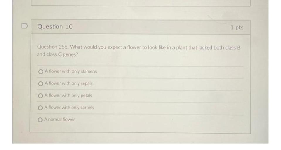 Question 10
1 pts
Question 25b. What would you expect a flower to look like in a plant that lacked both class B
and class C genes?
O A flower with only stamens
O A flower with only sepals
O A flower with only petals
O A flower with only carpels
O A normal flower