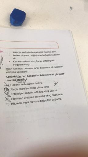 29.
requuar o
Yalancı ayak oluşturarak aktif hareket eder.
Antikor oluşumu sağlayarak bağışıklıkla görev
alır.
Kan damarlarından çıkarak enfeksiyonlu
bölgelere ulaşır.
İnsan kanında bulunan farklı hücrelere ait özellikler
yukarıda verilmiştir.
Aşağıdakiler