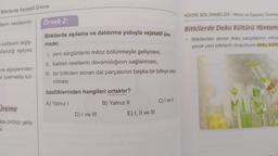 Bitkilerde Vejetatif Üreme
HÜCRE BÖLÜNMELERİ / Mitoz ve Eşeysiz Üreme
Örnek 2:
ilerin nesillerinin
Bitkilerde Doku Kültürü Yöntem
kalitesini değiş-
ullandığı eşeysiz
> Bitkilerden alınan doku parçalarının mitoz
şerek yeni bitkilerin oluşumuna doku kültü
Bitkilerde aşılama ve daldırma yoluyla vejetatif üre.
mede;
1. yeni sürgünlerin mitoz bölünmeyle gelişmesi,
II. kaliteli nesillerin devamlılığının sağlanması,
III. bir bitkiden alınan dal parçasının başka bir bitkiye akta-
rılması
ve ağaçlarından
ki üretmekte kul-
özelliklerinden hangileri ortaktır?
A) Yalnız!
B) Yalnız II
C) I vell
Üreme
D) I ve III
E) I, II ve III
kla örtülüp geliş-
fir.