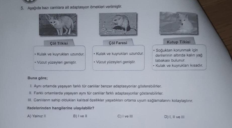 5. Aşağıda bazı canlılara ait adaptasyon örnekleri verilmiştir.
Çöl Tilkisi
Çöl Faresi
Kutup Tilkisi
• Kulak ve kuyrukları uzundur.
Kulak ve kuyrukları uzundur.
Soğuktan korunmak için
derilerinin altında kalın yağ
tabakası bulunur.
Kulak ve kuyrukları kısa