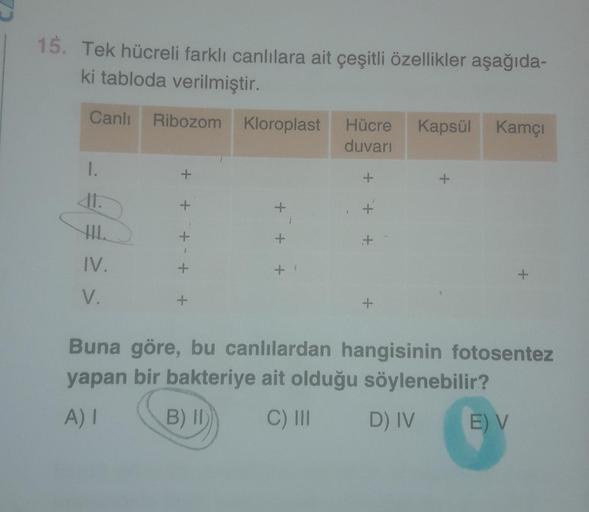 15. Tek hücreli farklı canlılara ait çeşitli özelli… Biyoloji 15. Tek hücreli farklı canlılara ait çeşitli özelli… Biyoloji