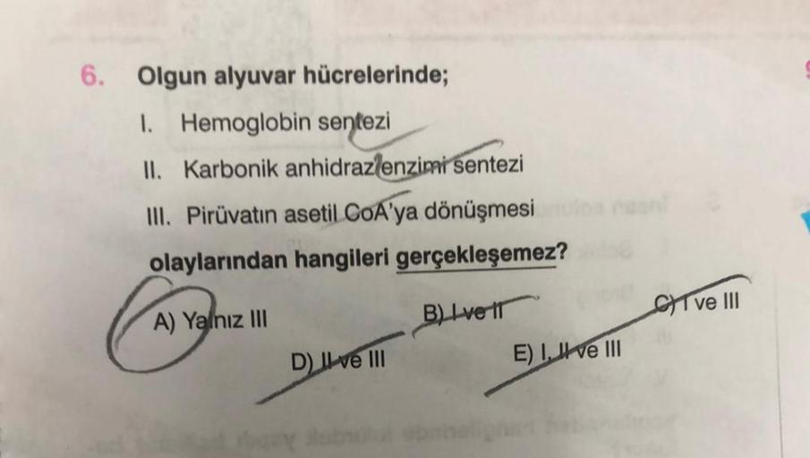 6. Olgun alyuvar hücrelerinde;
I. Hemoglobin sentezi
II. Karbonik anhidraz enzimi sentezi
III. Pirüvatın asetil CoA'ya dönüşmesi
olaylarından hangileri gerçekleşemez?
CIT ve III
A) Yalnız III
B). Lver
E) I, II ve III
D) II ve III
