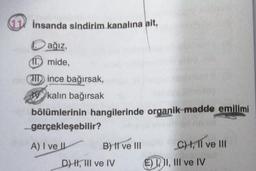 W insanda sindirim kanalına ait,
ağız,
(10 mide,
HD ince bağırsak,
kalın bağırsak
bölümlerinin hangilerinde organik madde emilimi
gerçekleşebilir?
A) I ve II B) II ve III C) I, II ve III
D) KI, HI ve IV E) D II, III ve IV