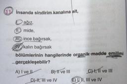 W insanda sindirim kanalına ait,
ağız,
(10 mide,
HD ince bağırsak,
kalın bağırsak
bölümlerinin hangilerinde organik madde emilimi
gerçekleşebilir?
A) I ve II B) II ve III C) I, II ve III
D) KI, HI ve IV E) D II, III ve IV
