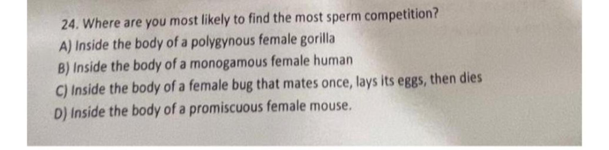 24. Where are you most likely to find the most sperm competition?
A) Inside the body of a polygynous female gorilla
B) Inside the body of a monogamous female human
C) Inside the body of a female bug that mates once, lays its eggs, then dies
D) Inside the body of a promiscuous female mouse.